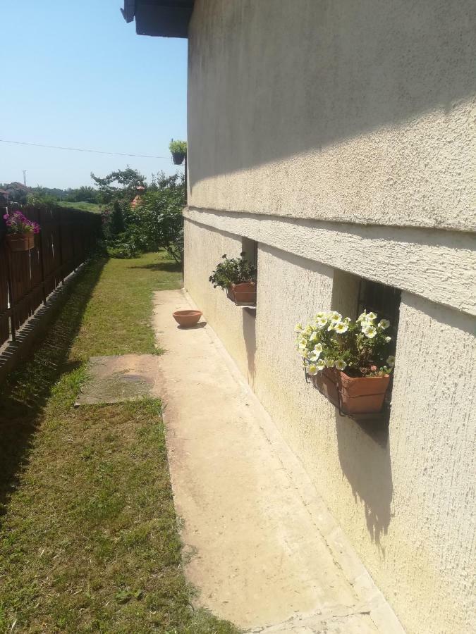 Anejo Apartment Belgrade Exterior photo
